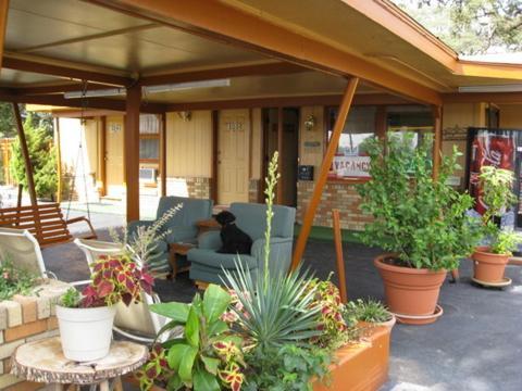 Walnut Forest Motel ออสติน ภายนอก รูปภาพ